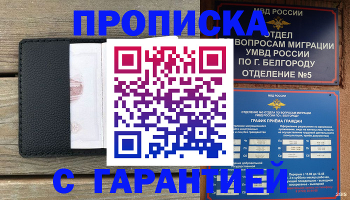 временная регистрация для всех в Чаплыгине